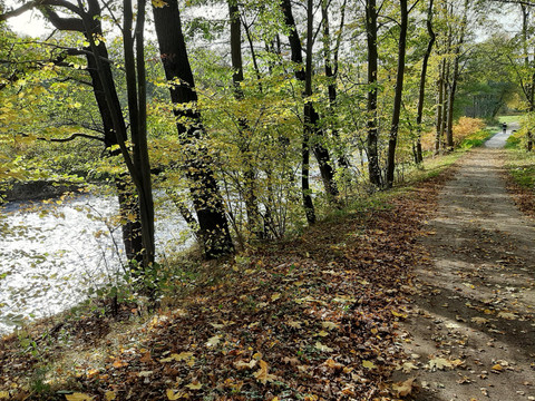 Wanderweg an der "Zwickauer Mulde"